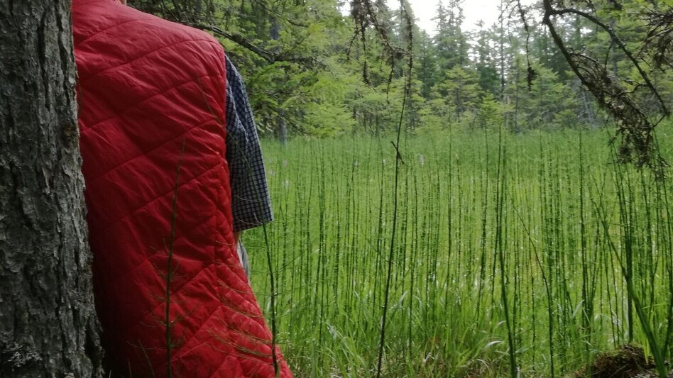 Hiking route Power place hike 3: Klausnerberg - Touren-Impression #2.2 | © Tourismusverband Murau