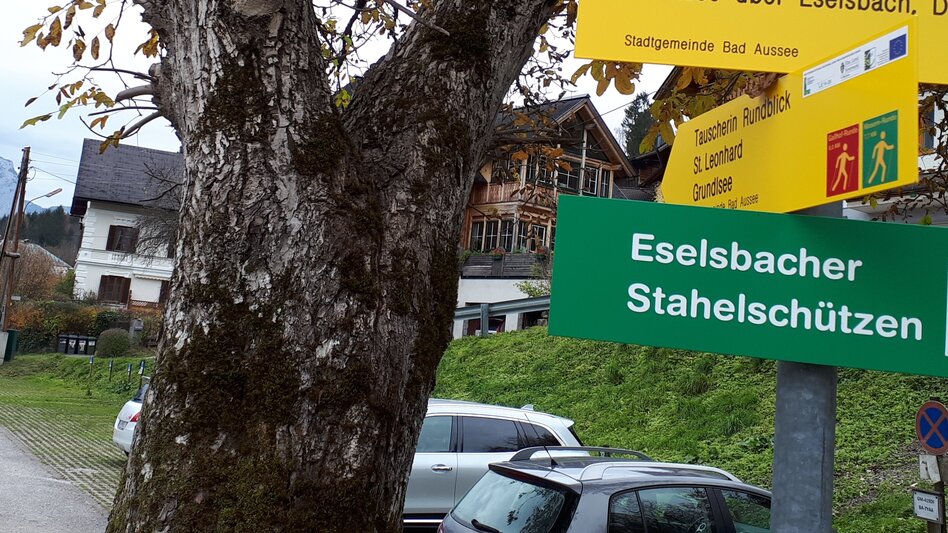 Nordic Walking Bad Aussee  - Grundlsee - Mosern - Obertressen - Touren-Impression #2.2 | © Ausseerland