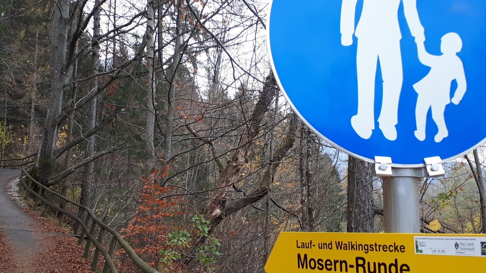 Nordic Walking Bad Aussee  - Grundlsee - Mosern - Obertressen - Touren-Impression #2.5 | © Ausseerland