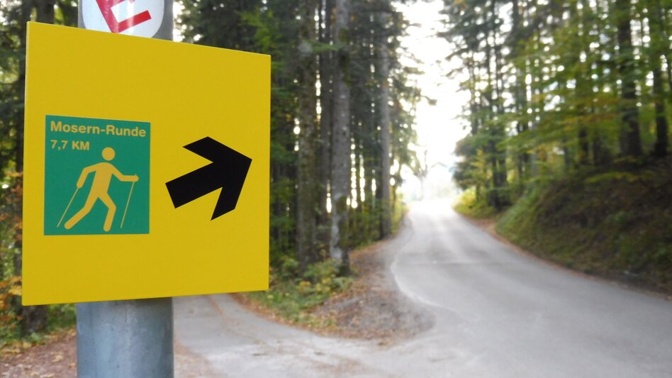 Nordic Walking Bad Aussee  - Grundlsee - Mosern - Obertressen - Touren-Impression #2.6 | © Ausseerland