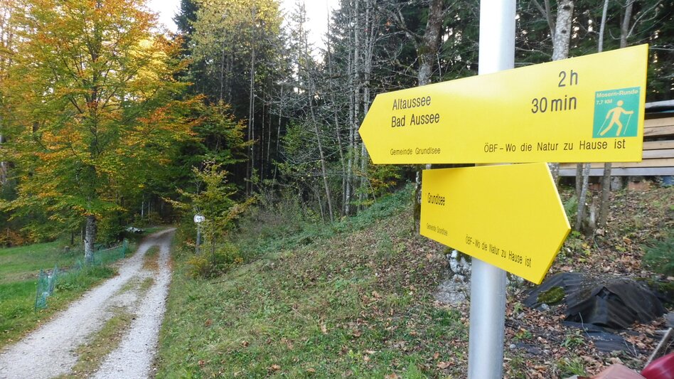 Nordic Walking Bad Aussee  - Grundlsee - Mosern - Obertressen - Touren-Impression #2.7 | © Ausseerland