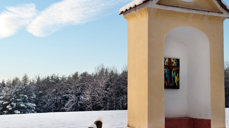 Winter Hiking Winter circuit Breiteggerweg - Touren-Impression #2.4 | © Oststeiermark Tourismus