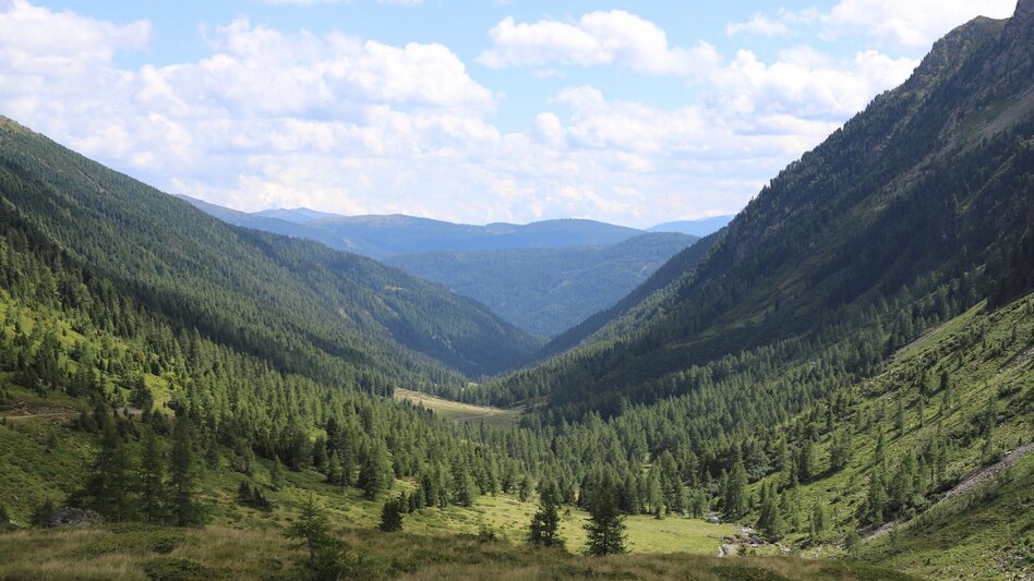 Wanderung Kraftplatzwanderung 2:  Rantensee - Touren-Impression #2.4 | © Tourismusverband Murau