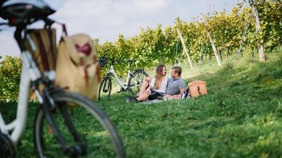 Radfahren Genussradeln zu den Weizer Schafbauern und zum Steirischen Kürbiskernöl - Touren-Impression #2.1 | © Oststeiermark Tourismus
