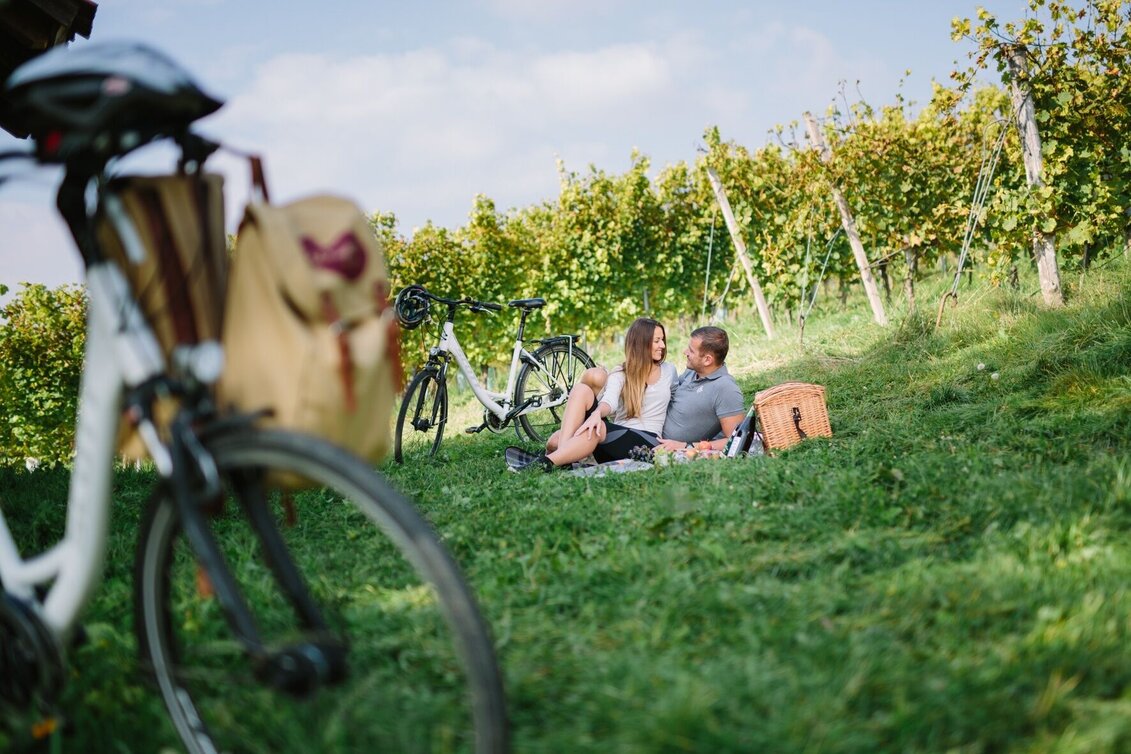 Radfahren Genussradeln zu den Weizer Schafbauern und zum Steirischen Kürbiskernöl - Touren-Impression #1 | © Oststeiermark Tourismus