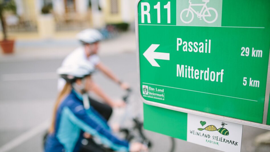 Radfahren Genussradeln zu den Weizer Schafbauern und zum Steirischen Kürbiskernöl - Touren-Impression #2.5 | © Oststeiermark Tourismus