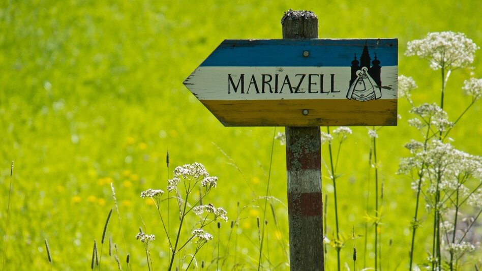 Hiking route Gußwerk circular hiking trail - Touren-Impression #2.1 | © TV Hochsteiermark