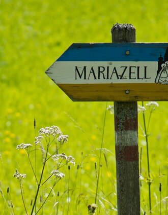 Wegweiser | Fred Lindmoser | © TV Hochsteiermark