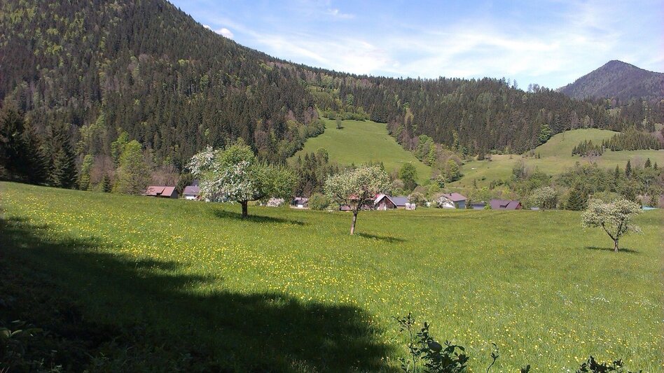 Hiking route Gußwerk circular hiking trail - Touren-Impression #2.5 | © TV Hochsteiermark
