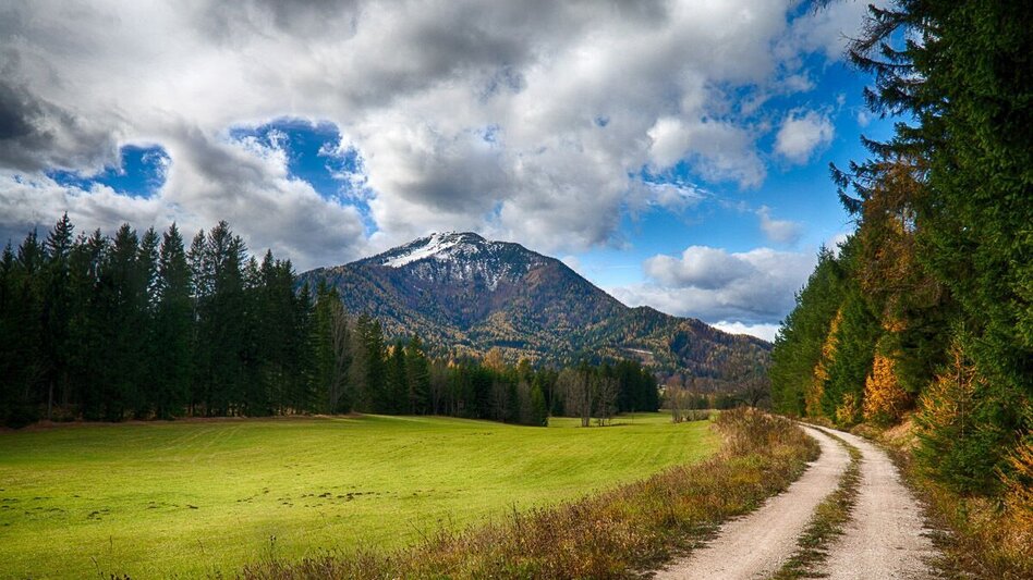 Hiking route Romantic circular hiking trail - Touren-Impression #2.2 | © www.mariazell.blog