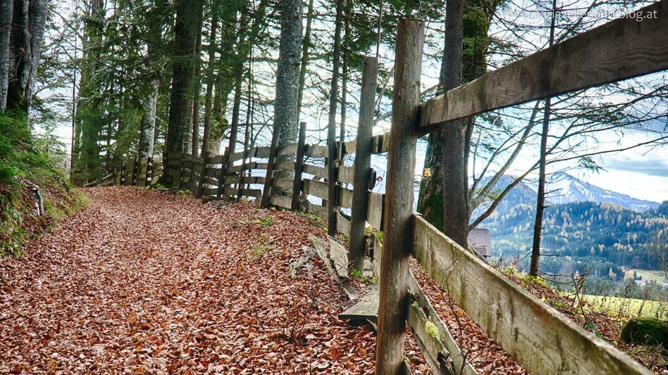 Hiking route Romantic circular hiking trail - Touren-Impression #2.3 | © www.mariazell.blog