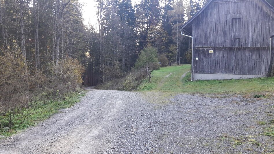 Mountain Hike Tieflimauer via Mühlgraben, Teufelsteig  and Ennstaler Hütte - Touren-Impression #2.1 | © TV Gesäuse