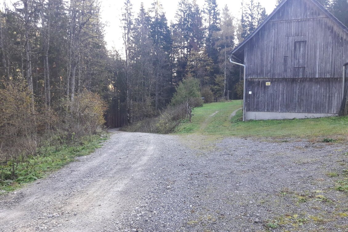 Mountain Hike Tieflimauer via Mühlgraben, Teufelsteig  and Ennstaler Hütte - Touren-Impression #1 | © TV Gesäuse