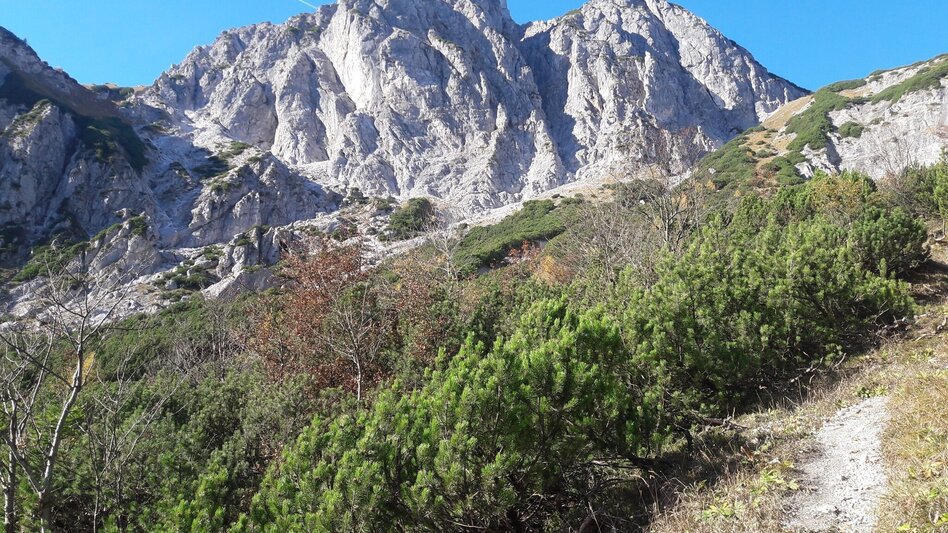 Mountain Hike Tieflimauer via Mühlgraben, Teufelsteig  and Ennstaler Hütte - Touren-Impression #2.3 | © TV Gesäuse