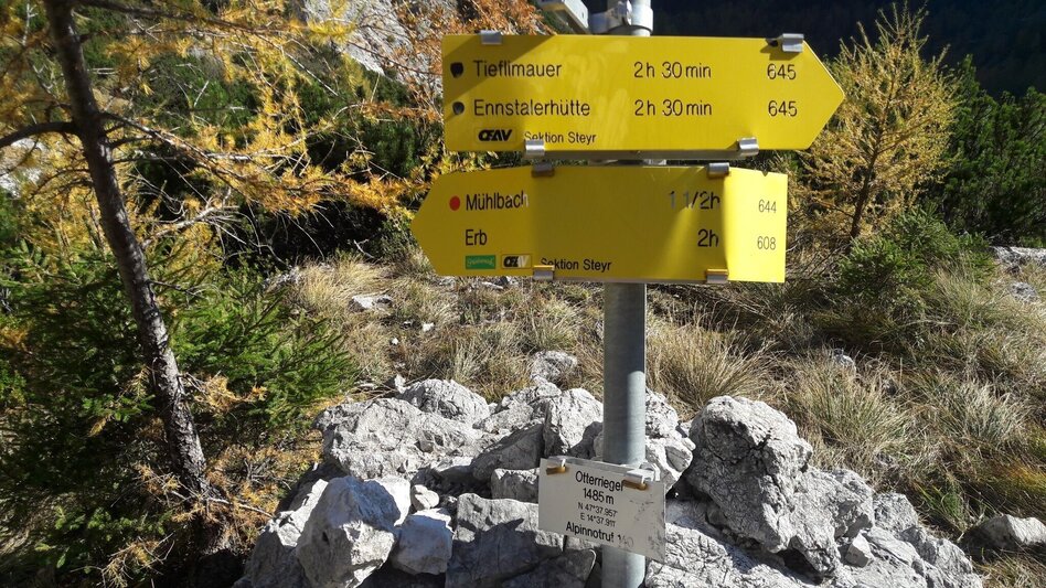 Mountain Hike Tieflimauer via Mühlgraben, Teufelsteig  and Ennstaler Hütte - Touren-Impression #2.4 | © TV Gesäuse