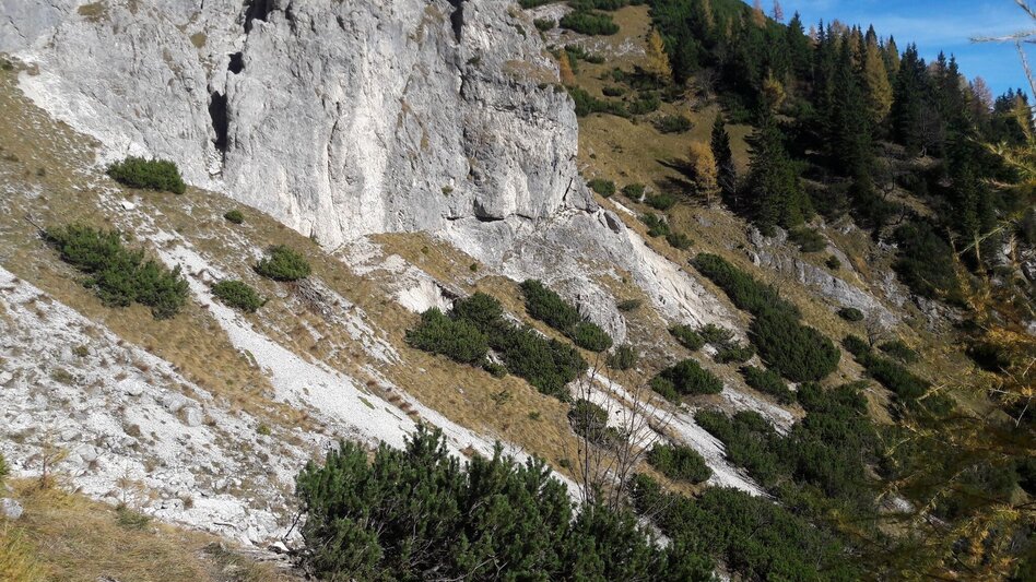 Mountain Hike Tieflimauer via Mühlgraben, Teufelsteig  and Ennstaler Hütte - Touren-Impression #2.5 | © TV Gesäuse