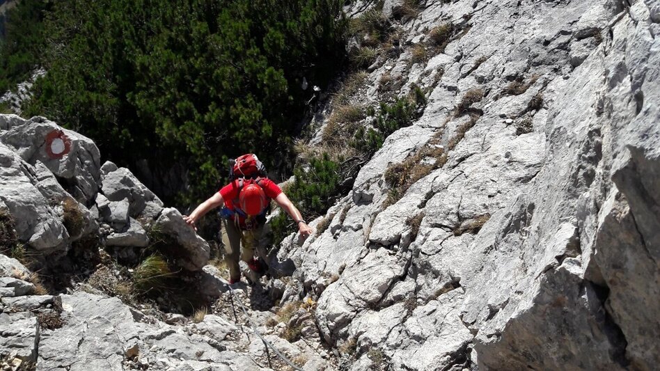 Mountain Hike Tieflimauer via Mühlgraben, Teufelsteig  and Ennstaler Hütte - Touren-Impression #2.11 | © TV Gesäuse