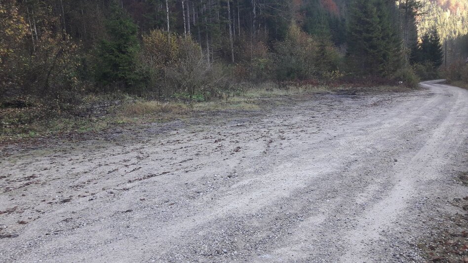 Mountain Hike Tieflimauer via Mühlgraben, Teufelsteig  and Ennstaler Hütte - Touren-Impression #2.16 | © TV Gesäuse