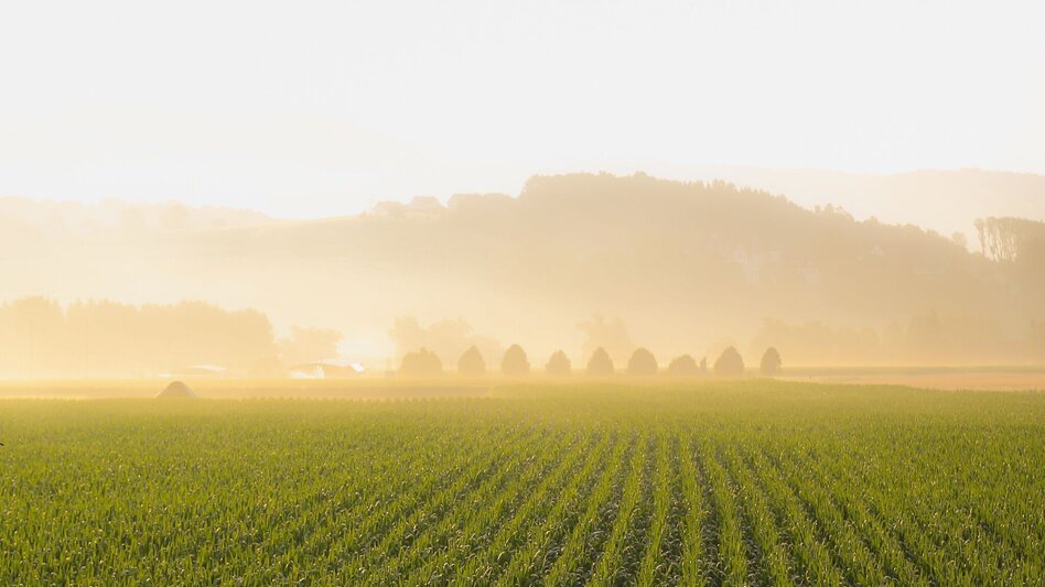Pilgrim Walk From Rein Abbey to the “Styrian St Stephen’s Cathedral” - Touren-Impression #2.3 | © Region Graz