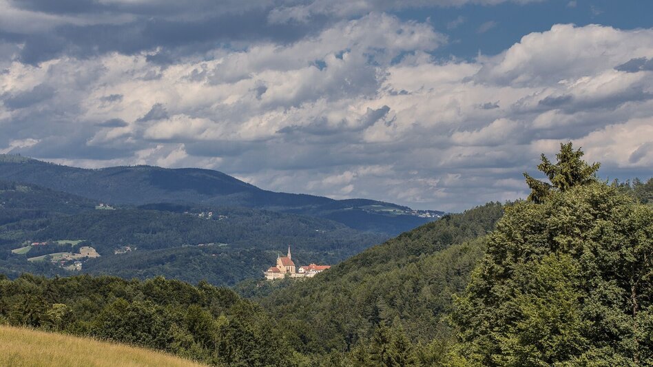 Pilgrim Walk From Rein Abbey to the “Styrian St Stephen’s Cathedral” - Touren-Impression #2.5 | © Region Graz