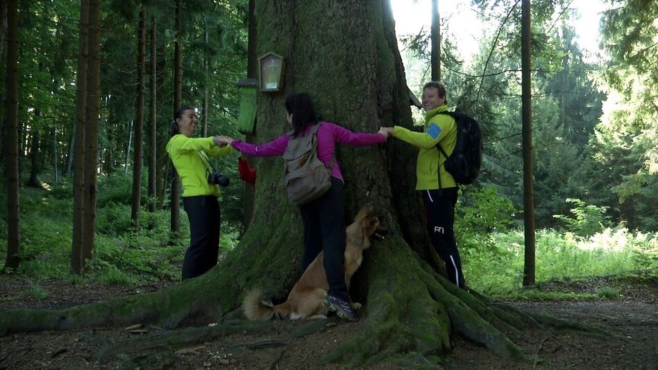 Pilgrim Walk From Rein Abbey to the “Styrian St Stephen’s Cathedral” - Touren-Impression #2.7 | © TV Region OberGraz