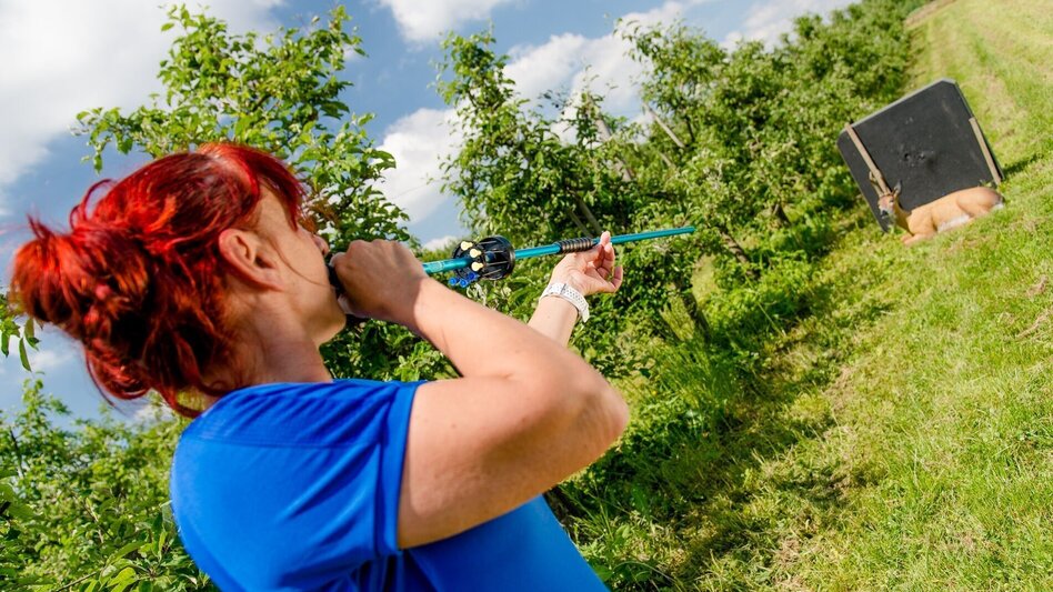 Hiking route Thermal circular trail (Thermen Rundwanderweg) - Touren-Impression #2.7 | © Thermen- & Vulkanland