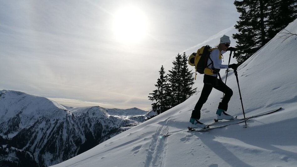 Skitour Skitour auf den Gscheideggkogel - Touren-Impression #2.1 | © TV Gesäuse