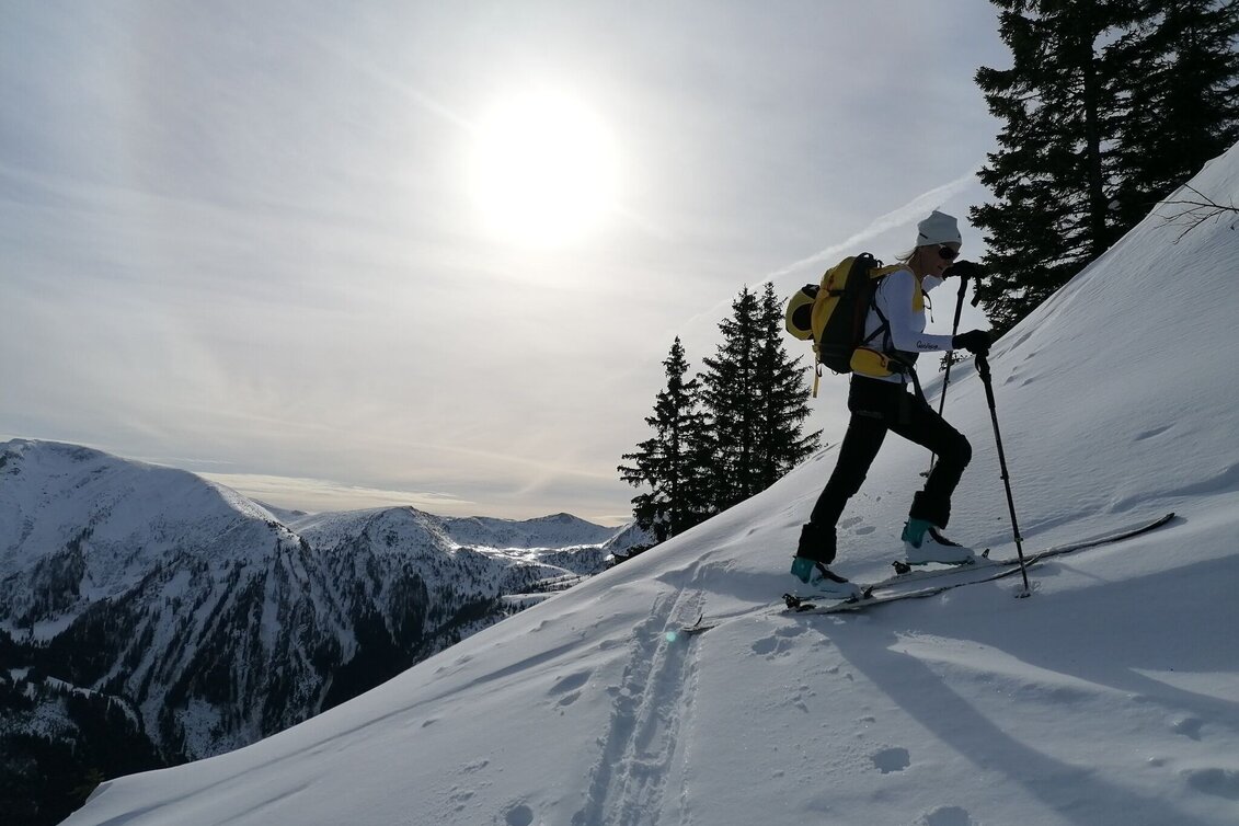 Skitour Skitour auf den Gscheideggkogel - Touren-Impression #1 | © TV Gesäuse