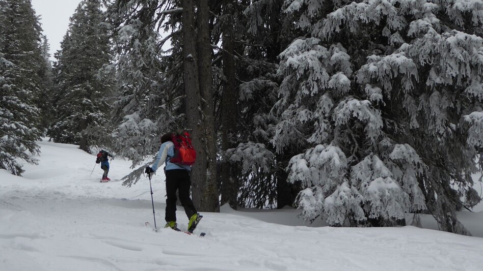 Skitour Skitour auf den Gscheideggkogel - Touren-Impression #2.6 | © TV Gesäuse