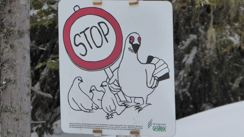 Skitour Skitour auf den Gscheideggkogel - Touren-Impression #2.7 | © TV Gesäuse