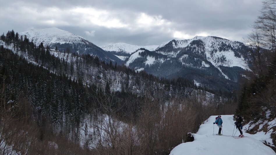 Skitour Skitour auf den Gscheideggkogel - Touren-Impression #2.8 | © TV Gesäuse