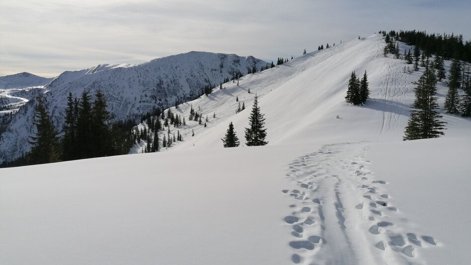 Skitour Skitour auf den Gscheideggkogel - Touren-Impression #2.10 | © TV Gesäuse