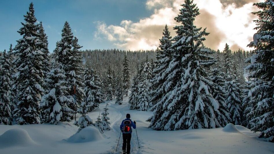 Skitour Skitour auf den Gscheideggkogel - Touren-Impression #2.15 | © TV Gesäuse