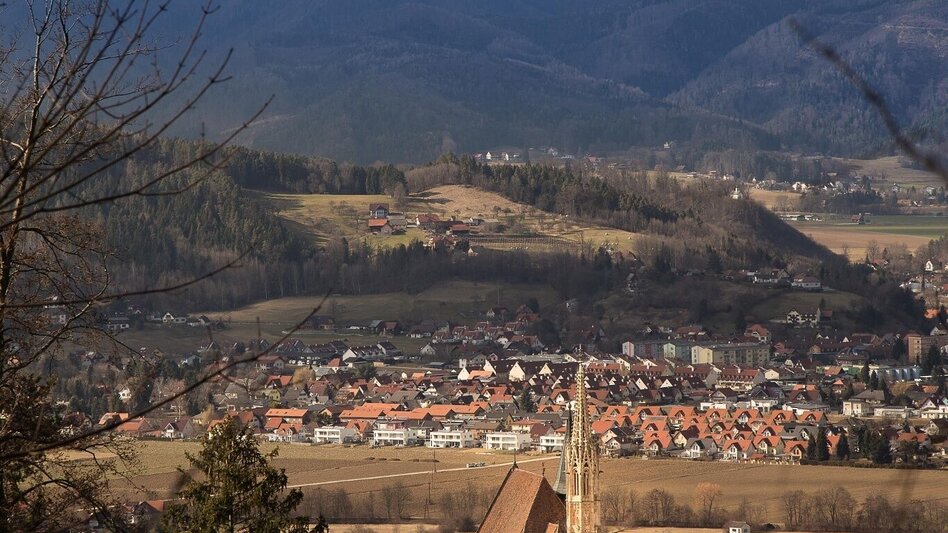 Wanderung Rundwanderung um Straßengel - Touren-Impression #2.8 | © Region Graz