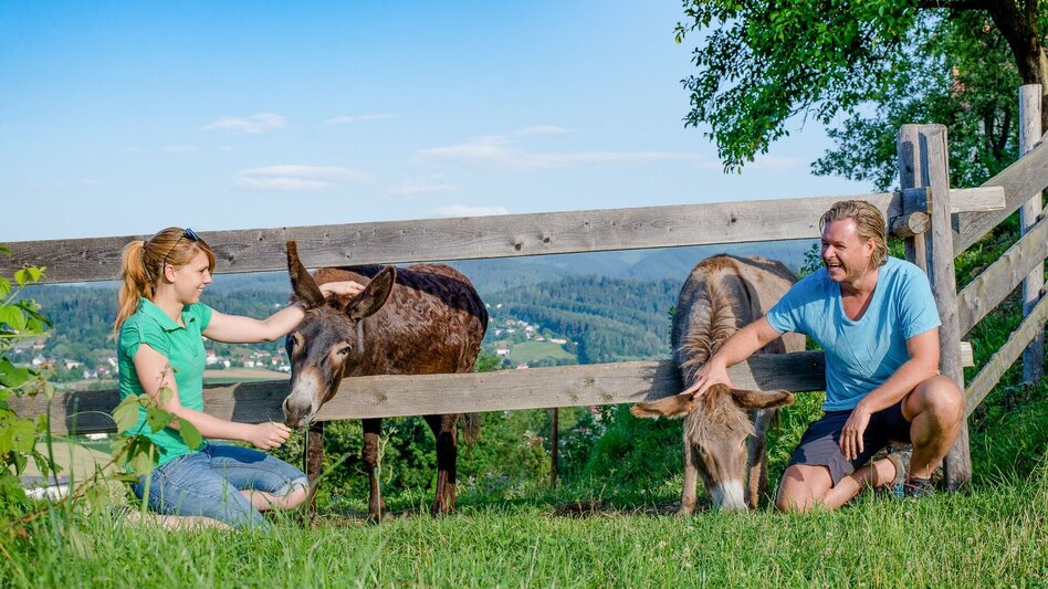 Wanderung Rundwanderung um Straßengel - Touren-Impression #2.11 | © Region Graz