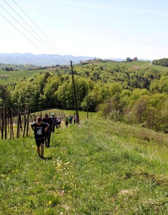 Nordic Walking Vinotour | © Südsteiermark