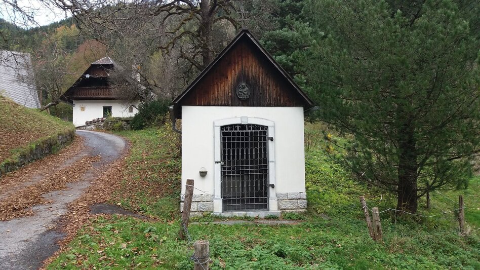 Wanderung Kleiner Buchwaldweg - Touren-Impression #2.1 | © Region Graz