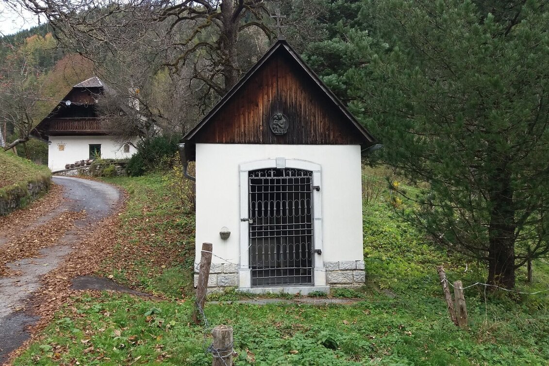 Wanderung Kleiner Buchwaldweg - Touren-Impression #1 | © Region Graz