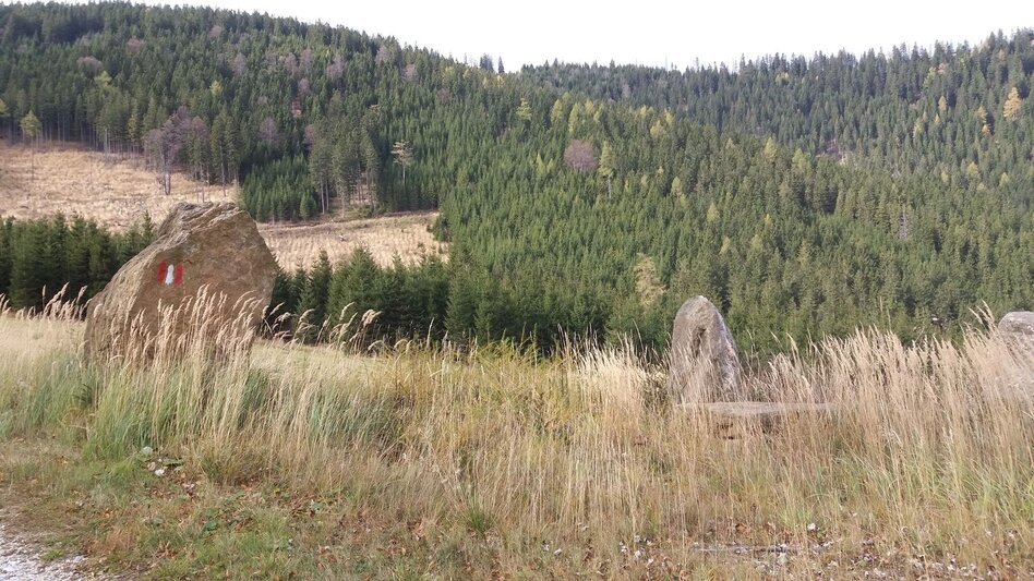 Wanderung Kleiner Buchwaldweg - Touren-Impression #2.5 | © Region Graz