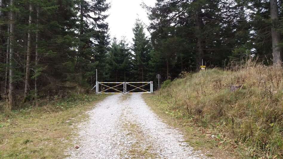 Wanderung Kleiner Buchwaldweg - Touren-Impression #2.7 | © Region Graz