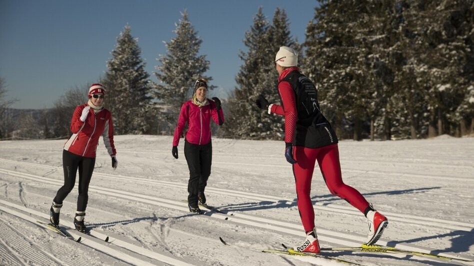 Ski nordic skating Blochplatz trail Joglland trail, St. Jakob im Walde - Touren-Impression #2.2