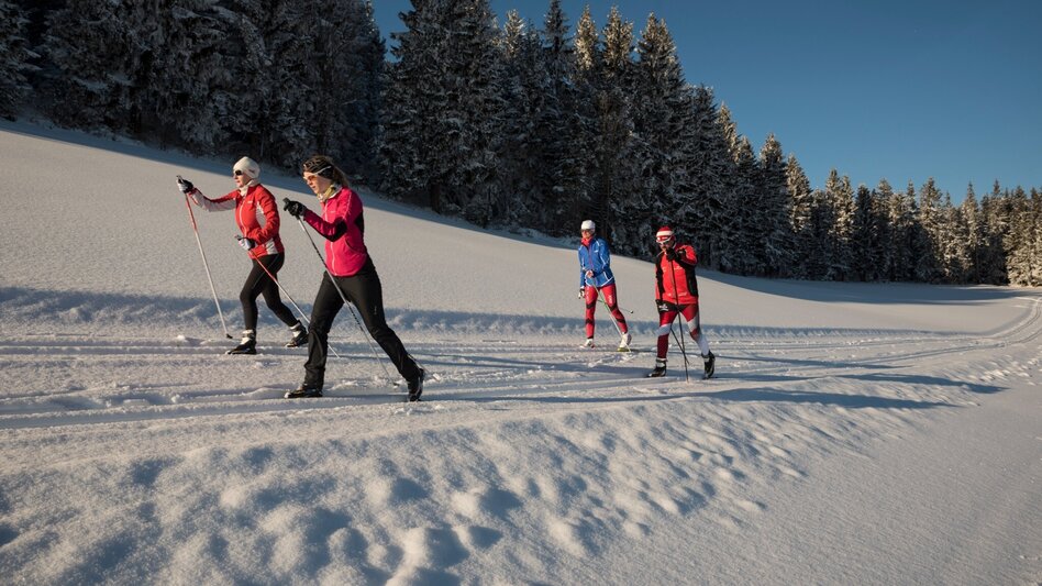 Ski nordic skating Blochplatz trail Joglland trail, St. Jakob im Walde - Touren-Impression #2.4