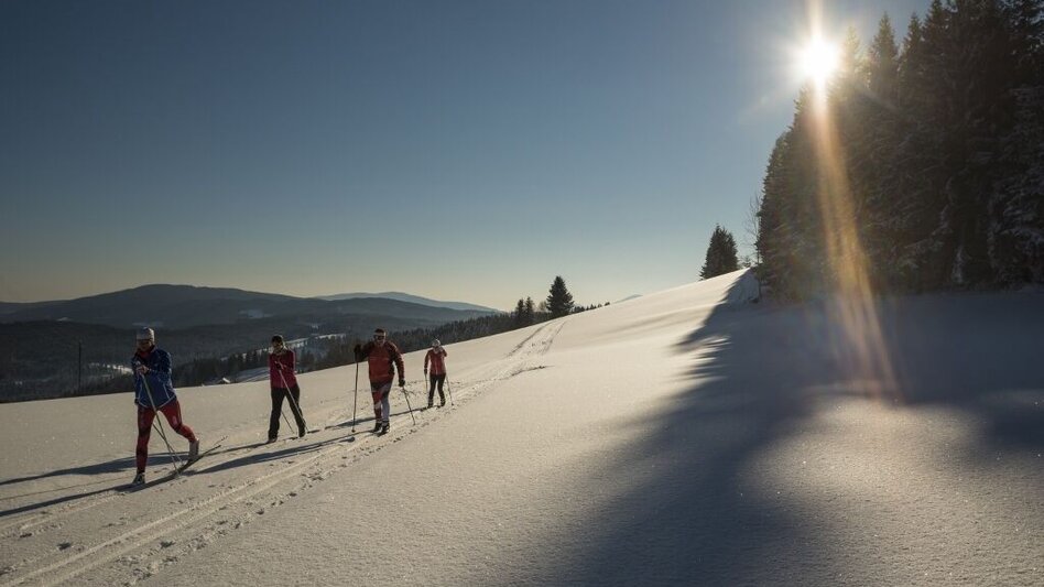 Ski-nordic-classic Eggberg trail Joglland trail, St. Jakob im Walde - Touren-Impression #2.1 | © GH Orthofer, Bernhard Bergmann
