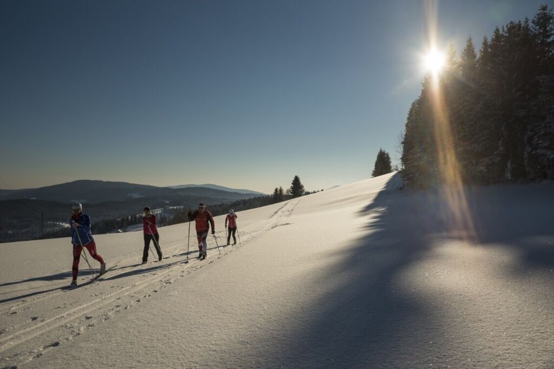 Ski-nordic-classic Eggberg trail Joglland trail, St. Jakob im Walde - Touren-Impression #1 | © GH Orthofer, Bernhard Bergmann