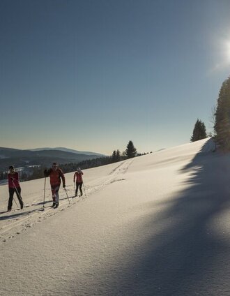 Panoramablick auf der Jogllandloipe | Sarah Schweiger | © GH Orthofer, Bernhard Bergmann