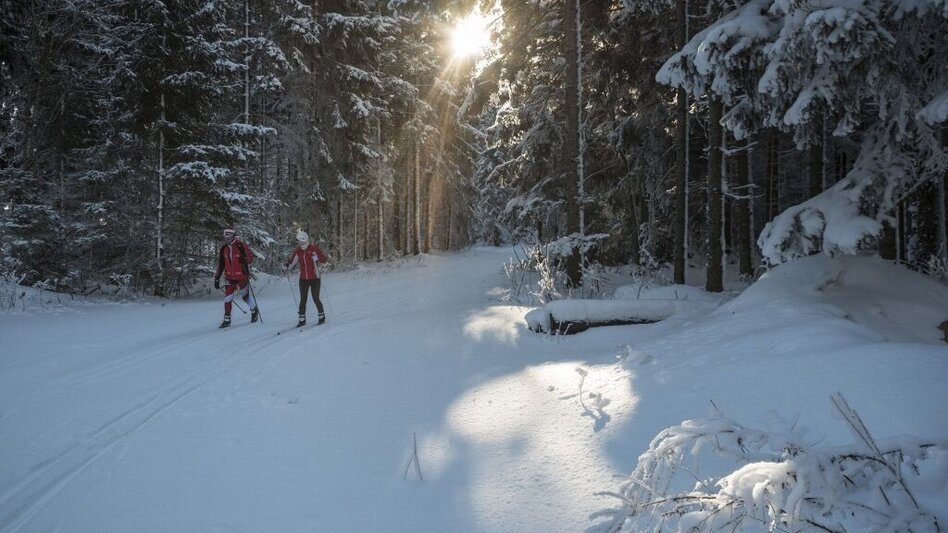 Langlauf Skating Flutlicht-Loipe Joglland-Loipe, St. Jakob im Walde - Touren-Impression #2.1 | © GH Orthofer, Bernhard Bergmann