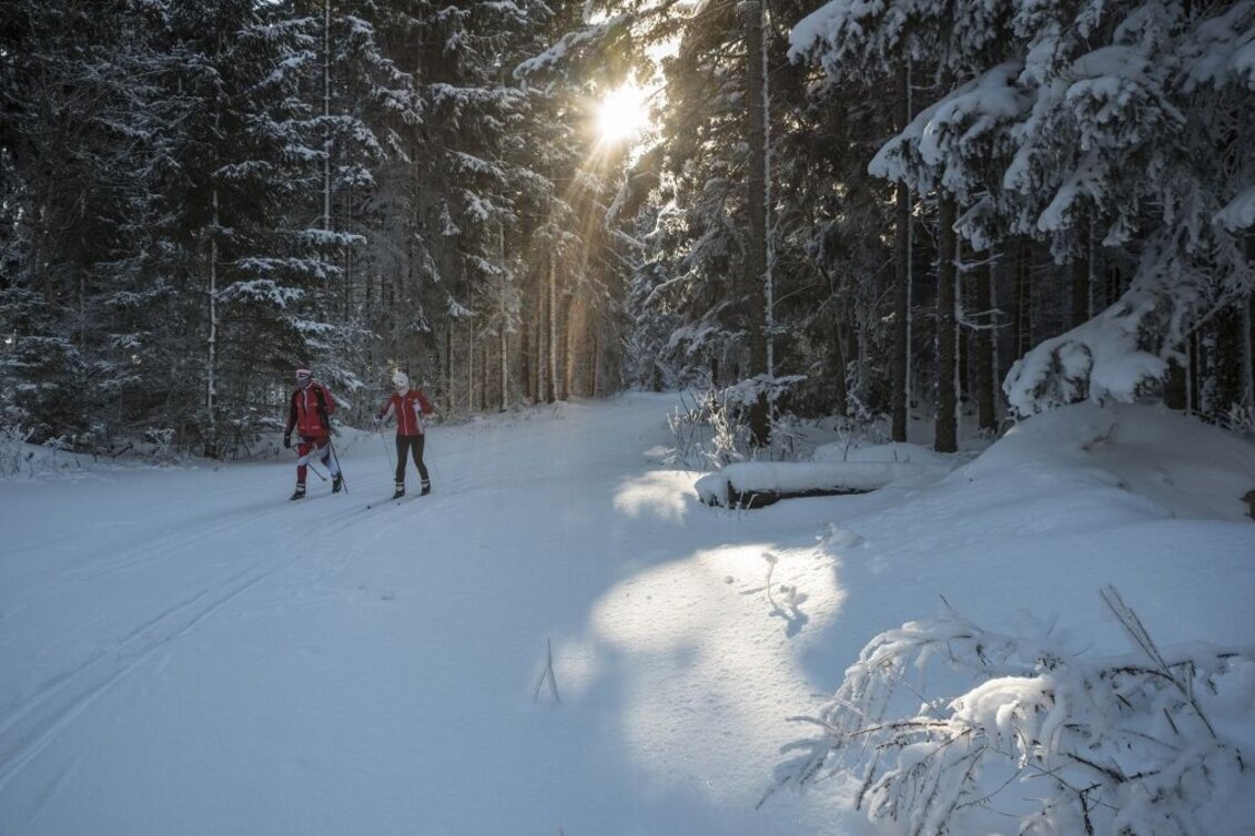 Langlauf Skating Flutlicht-Loipe Joglland-Loipe, St. Jakob im Walde - Touren-Impression #1 | © GH Orthofer, Bernhard Bergmann