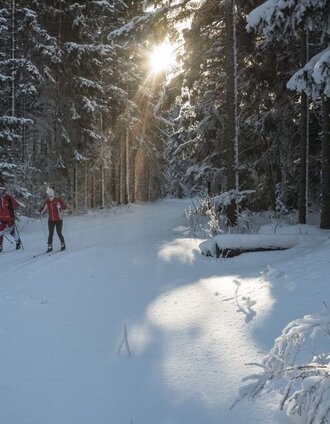 Sonnenuntergang auf der Jogllandloipe | Sarah Schweiger | © GH Orthofer, Bernhard Bergmann