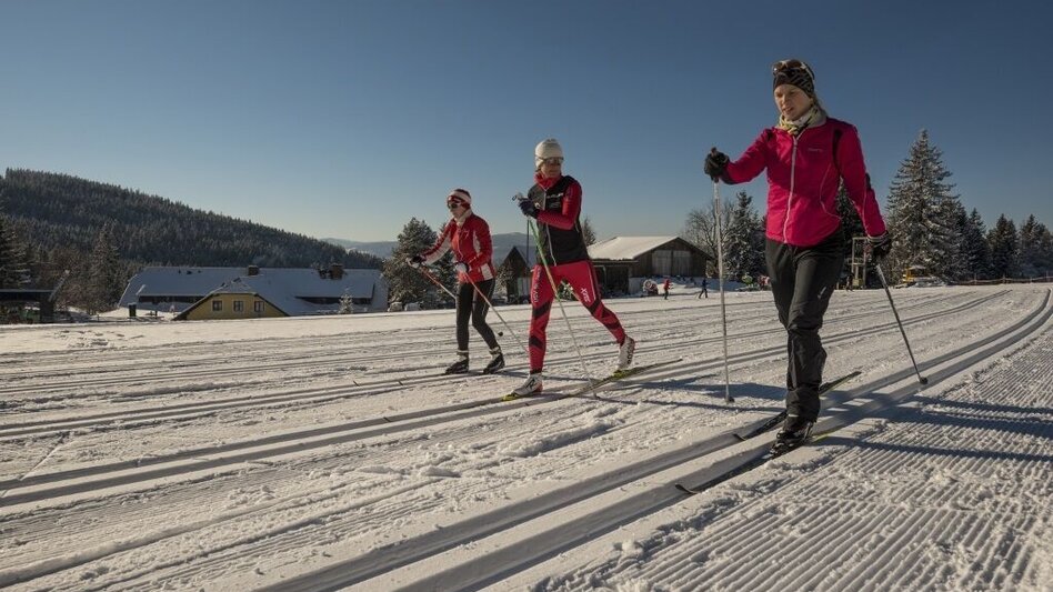 Ski nordic skating House trail Jogllandloipe, St. Jakob im Walde - Touren-Impression #2.1 | © GH Orthofer, Bernhard Bergmann