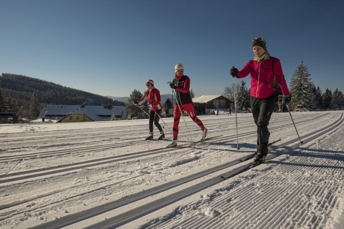 Ski nordic skating House trail Jogllandloipe, St. Jakob im Walde - Touren-Impression #1 | © GH Orthofer, Bernhard Bergmann